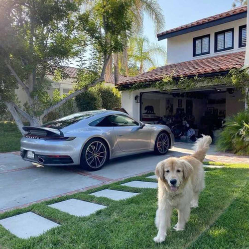 dog-villa-porsche